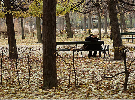 坐,夫妇,公园长椅,维也纳,奥地利