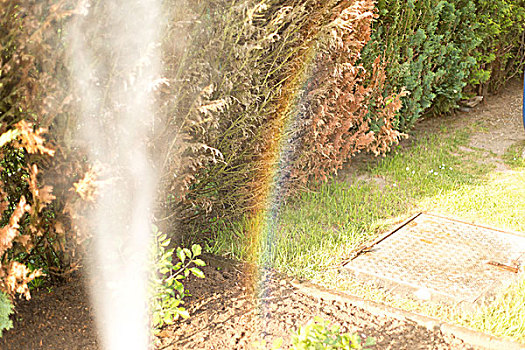 彩色,夏天,花园,浇水,彩虹