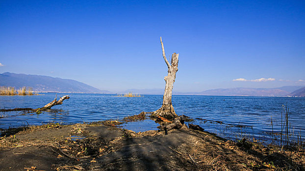 大理,洱海,湖面,风光