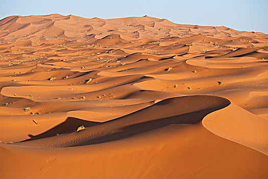 沙丘,却比沙丘,靠近,梅如卡,摩洛哥