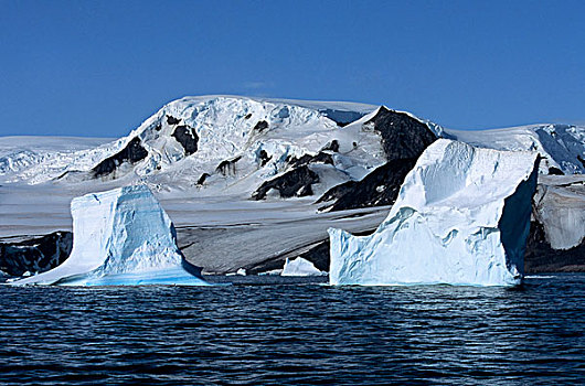 南极,南,奥克尼群岛,冰山,冰河