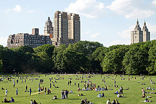 人,日光浴,中心,公园,正面,摩天大楼,曼哈顿,纽约,美国