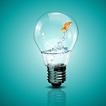 金鱼,水中,室内,电灯,灯泡