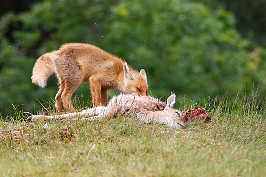 自然保护区图片