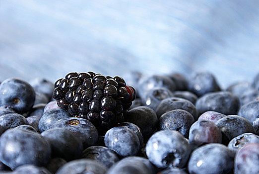 黑莓,蓝莓