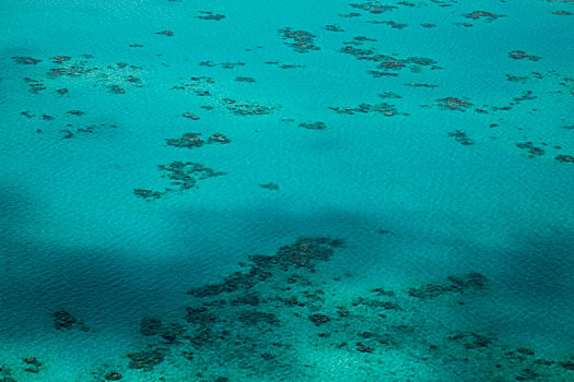 澳洲凯恩斯大堡礁绿