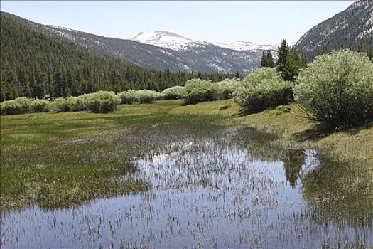 湖,山峦,背景,峡谷,优胜美地国家公园,加利福尼亚,美国