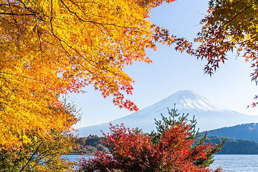 富士山,秋天