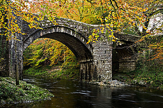 秋天,桥,达特姆尔高原,英格兰