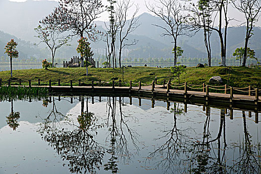 屯溪江边湿地小景