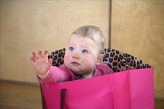 女婴,坐,粉色,购物袋