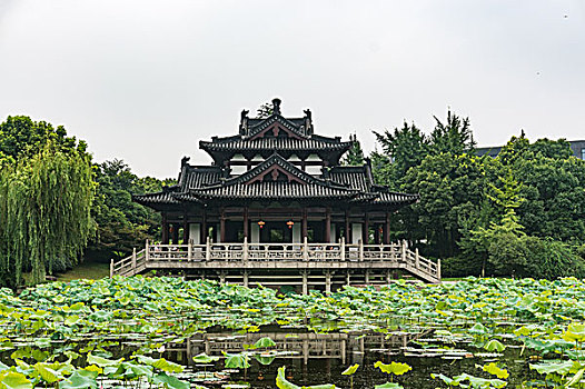 湖州飞英公园夏景