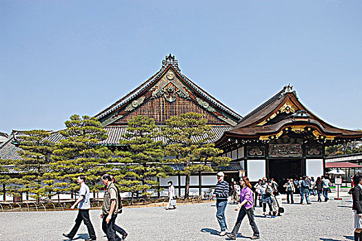 宫殿,二条城,京都,日本