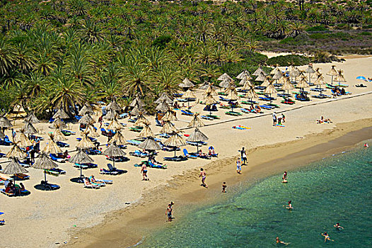 太阳,伞,太阳椅,手掌,海滩,克里特岛,希腊,欧洲