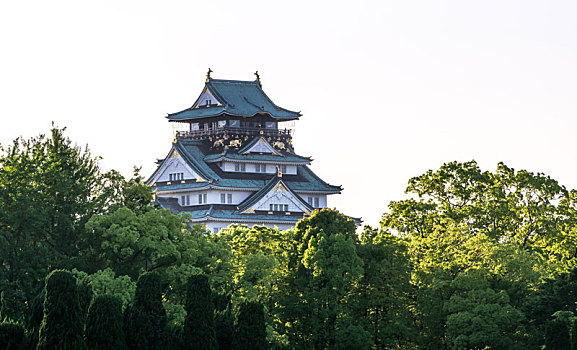 大阪城,风景