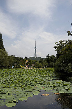 山东青岛风光