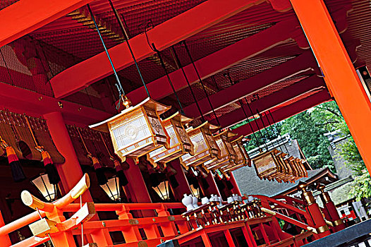 日本,排,悬挂,灯笼,建筑,京都
