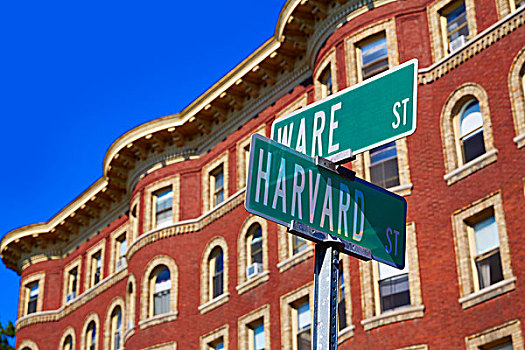 哈佛,街道,剑桥,马萨诸塞,美国
