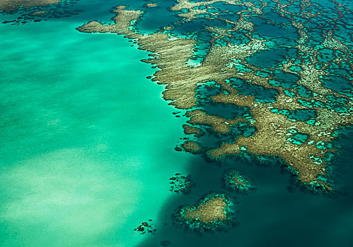 航拍,珊瑚礁,格朗德特尔,岛屿,新喀里多尼亚,大洋洲