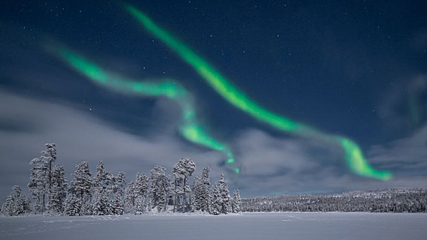 冬季芬兰北部白色的雪原与森林夜晚的极光