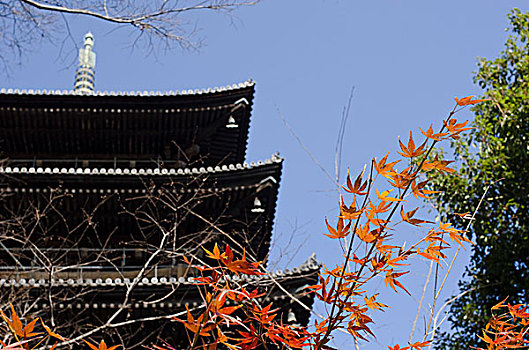 日本寺庙,塔,红枫,叶子