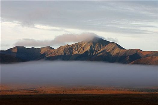 日出,晨雾,德纳里峰国家公园,阿拉斯加,美国