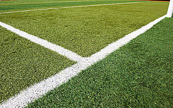 足球,草,白色,线条