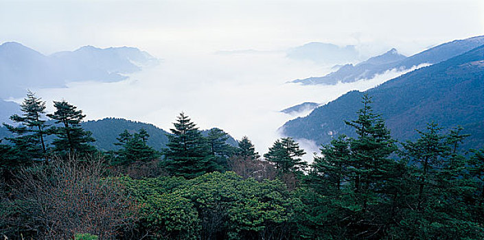 湖北神农架风景