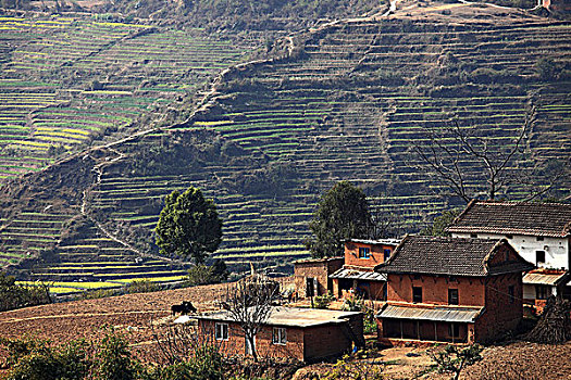 尼泊尔,加德满都山谷,乡村,景色