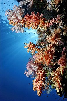 基里巴斯海平面__基里巴斯群島