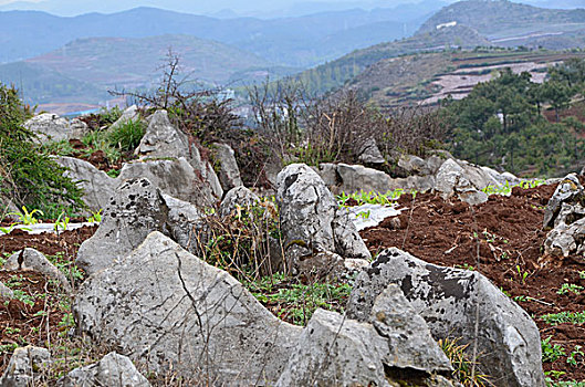 威宁山野小石林景观