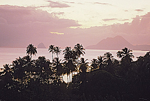 西印度群岛,马提尼克岛