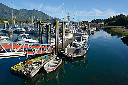 加拿大,不列颠哥伦比亚省,温哥华岛,船,捆绑,渔人码头,大幅,尺寸