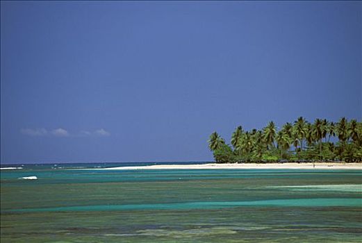 多米尼加共和国,棕榈树,岛屿
