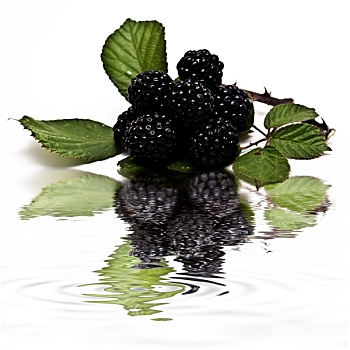 黑莓,反射