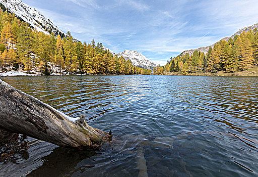 秋天,贝尔京,瑞士