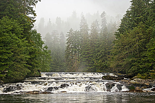 加拿大,不列颠哥伦比亚省,大公主岛,河,瀑布,靠近,模糊,树林