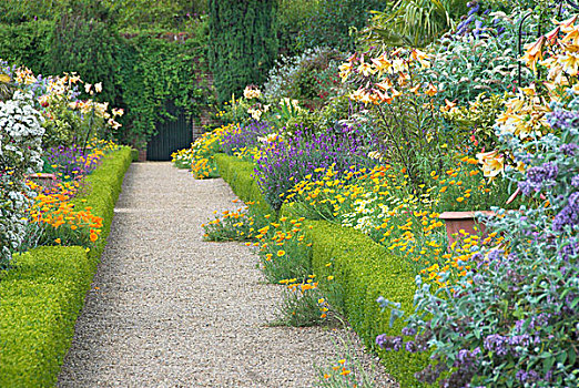 社交,花园,边界,盒子,围篱,小路,彩色,种植,多年生植物,英格兰,英国,欧洲
