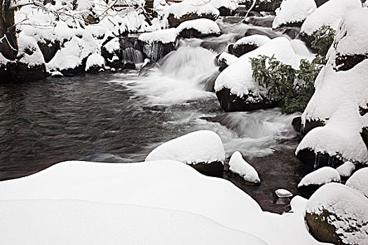 哥伦比亚河峡谷国家风景区,俄勒冈,美国,雪,遮盖,石头,溪流