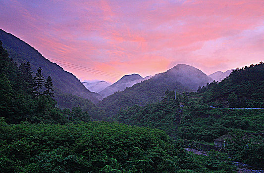 山,树林,雾气,云海,氤氲,绿色,树木,乡村