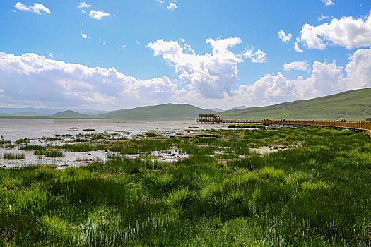 甘肃省甘南,高原明珠尕海湿地风光美