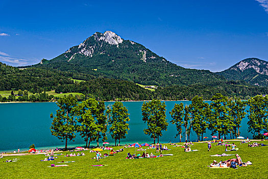 奥地利,萨尔茨堡,国家,萨尔茨卡莫古特,看,湖,西部,岸边,自然,海滩,沐浴