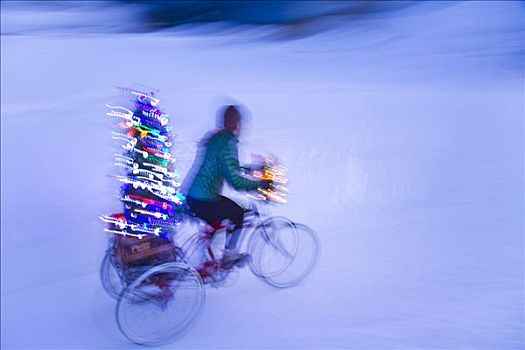 女人,自行车,照亮,圣诞树,科罗拉多,冬天