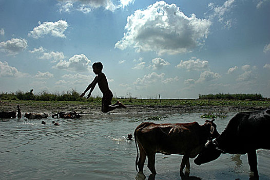 水,许多人,生活方式,地区,河岸,达卡,孟加拉,2006年
