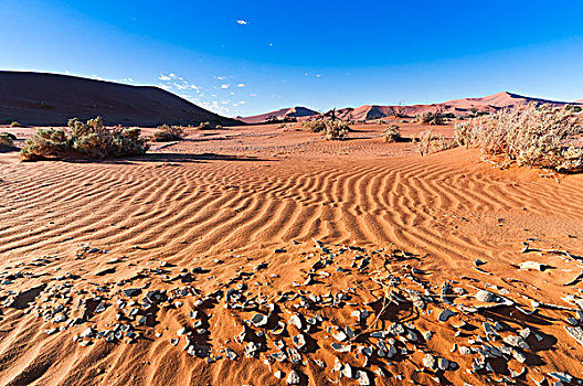 沙丘,索苏维来地区,纳米布沙漠,纳米比诺克陆夫国家公园,纳米比亚