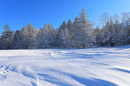 老里克湖冰雪风光