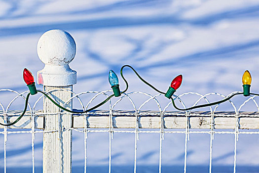 圣诞灯光,栅栏,曼尼托巴,加拿大
