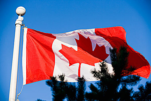 加拿大国旗,温哥华,水岸,港口,不列颠哥伦比亚省,加拿大