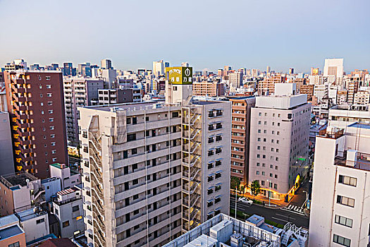 日本,本州,东京,城市天际线,山,富士山,远景