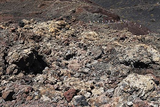 火山岩,火山,帕尔玛,加纳利群岛,西班牙,欧洲